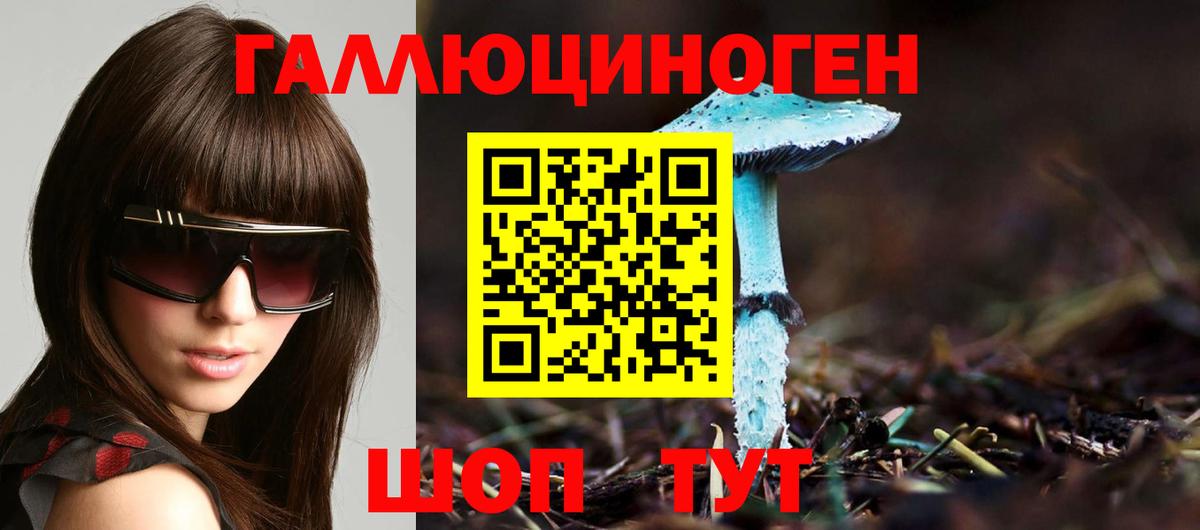 Псилоцибиновые грибы Psilocybe Нижнеудинск