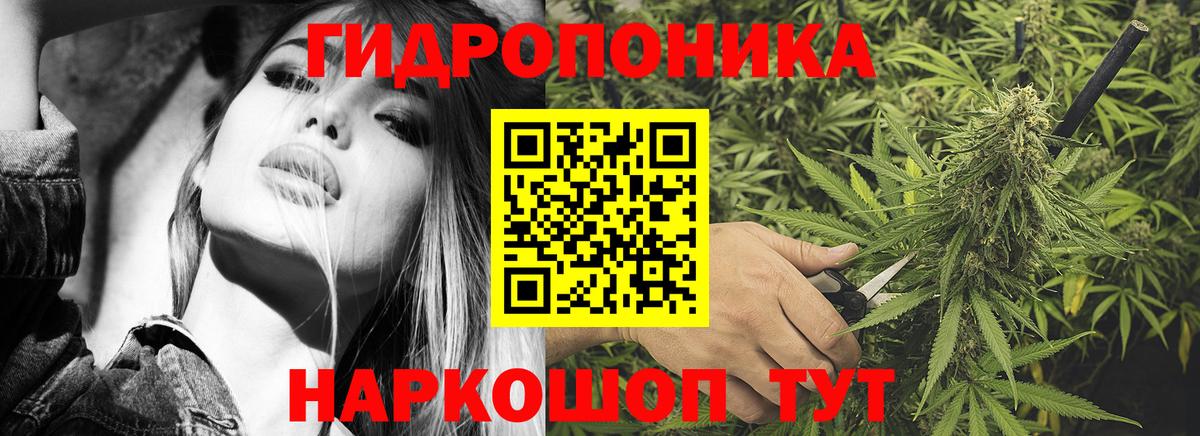 Каннабис White Widow  Вход с VPN  Шишки марихуана тримм  Нижнеудинск 